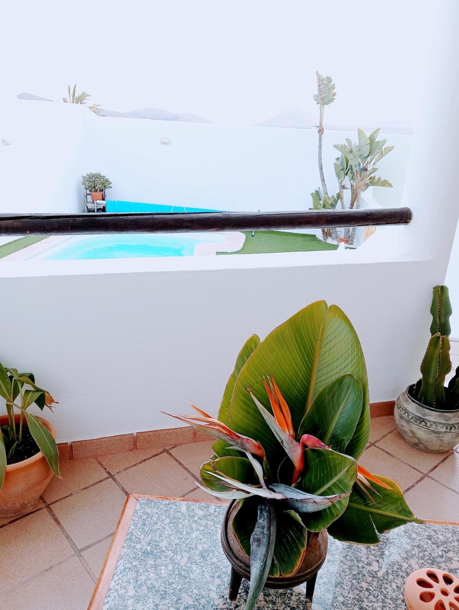 הוילה Nazaret Casa Strelitzia מראה חיצוני תמונה