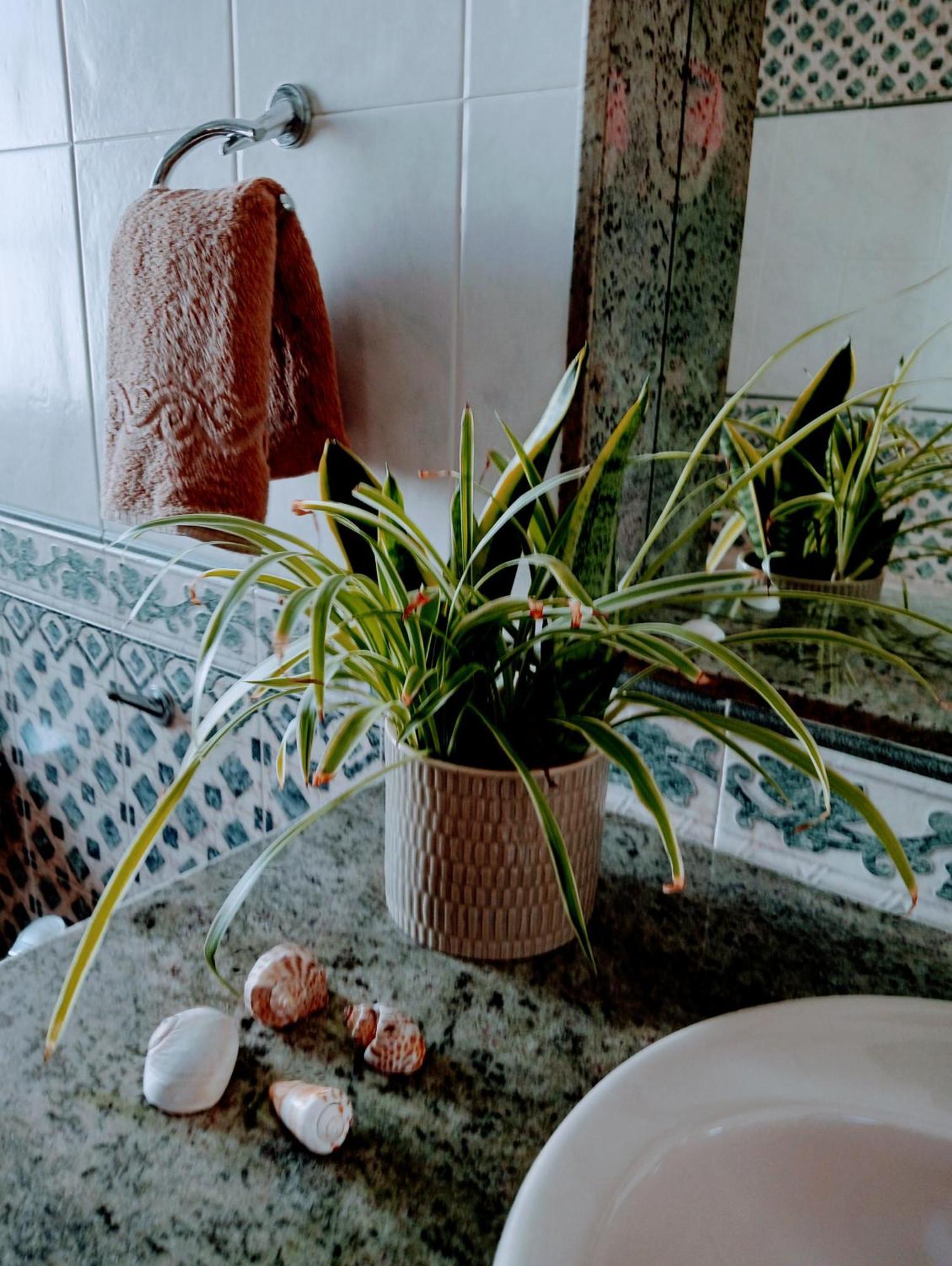 הוילה Nazaret Casa Strelitzia מראה חיצוני תמונה