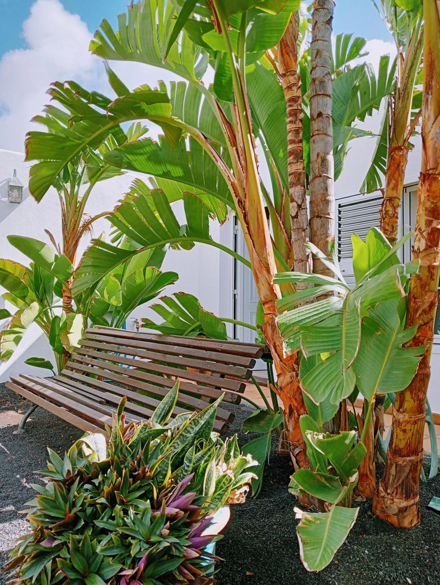 הוילה Nazaret Casa Strelitzia מראה חיצוני תמונה