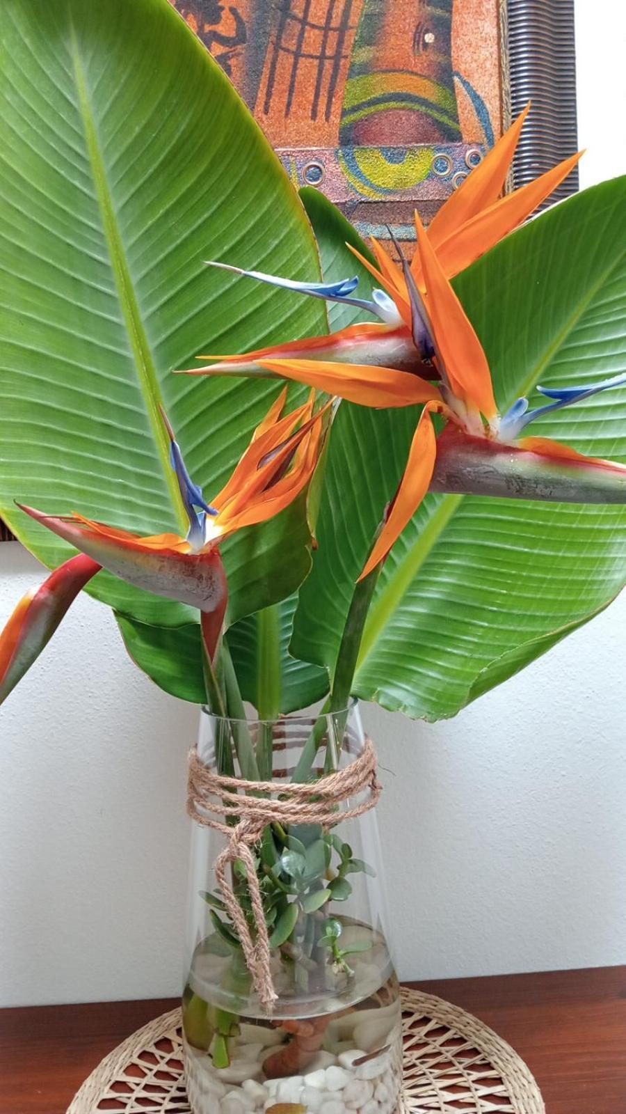 הוילה Nazaret Casa Strelitzia מראה חיצוני תמונה